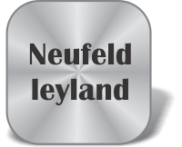 Neufeld leyland